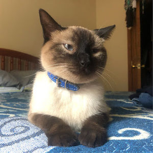 Meet your Posher, Emeli